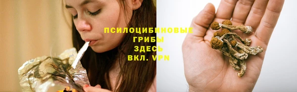 трава Новокубанск